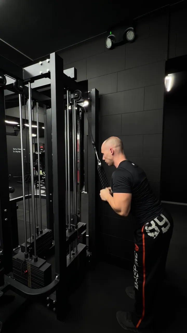 Mini functional trainer crossover
